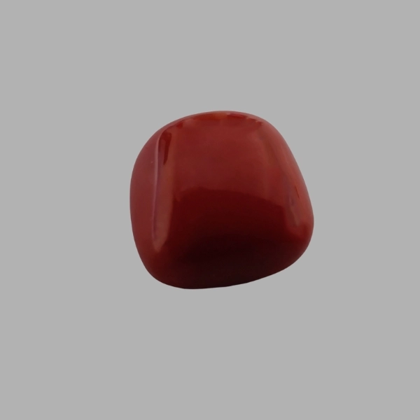 Red Coral - 4.93  Carat