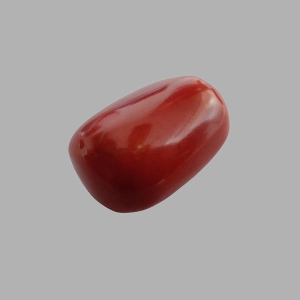 Red Coral - 12.9 Carat