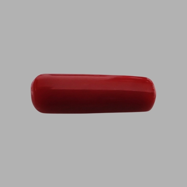 Red Coral -  6.10 Carat